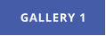 GALLERY 1