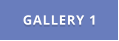 GALLERY 1